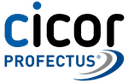 Cicor Profectus GmbH