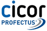 Cicor Profectus GmbH