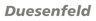 Duesenfeld GmbH